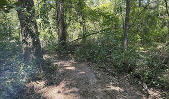 2653 MYRTLE Loop, Middleburg, FL 32068