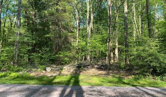 99 ACRE ROCK Ldg, Accident, MD 21520