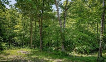 278 Pleasant Hill Rd, Allons, TN 38541