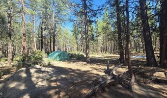 Smith Drive lot 5, Beatty, OR 97621