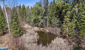 8849 Hwy 25, Angora, MN 55703