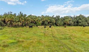 SW GORDON HAY ROAD, Arcadia, FL 34269