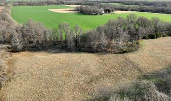 0001 CR-290, Asbury, MO 64832