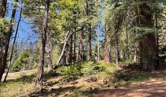 1474 Moran Rd, Arnold, CA 95223