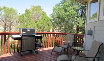50 N Ridge Ct, Battlement Mesa, CO 81635