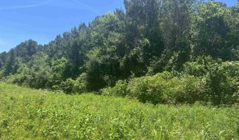 HIGHWAY 431 lot 0, Alexandria, AL 36250