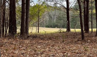 BRUSHY Ln, Arley, AL 35541