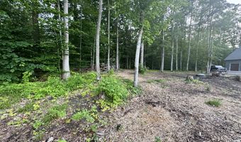 3206 Hidden Ridge Rd, Alanson, MI 49706
