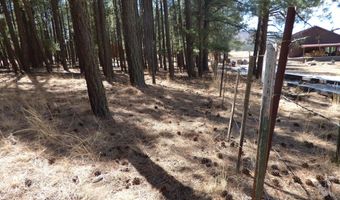 8 B County Road 2267 Escudilla Rd, Alpine, AZ 85920