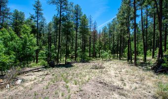 13 County Road N 2122, Alpine, AZ 85920