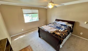 1265 Dotta Dr, Elko, NV 89801