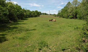 12459 County Road 5-402, Ava, MO 65608