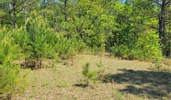 601 HERBERT BROWN Rd, Auburn, AL 36830