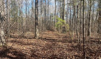 LOT 36 STONEY POINT, Double Springs, AL 35553