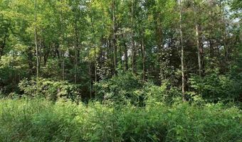 xxx Lane 51, Aurora, MN 55705