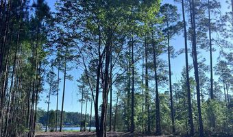 Jarvis Landing Road, Aurora, NC 27806