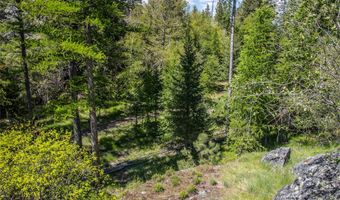 87 Rock Ridge Way, Bigfork, MT 59911