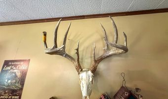 2137 623rd Ave, Albia, IA 52531