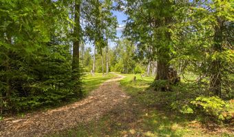 9201 Wreck Rd, Alpena, MI 49707