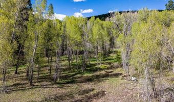 65 Pinestone Dr, Bayfield, CO 81122