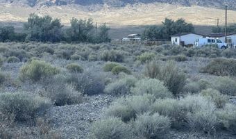 209 Los Padres Rd, Austin, NV 89310