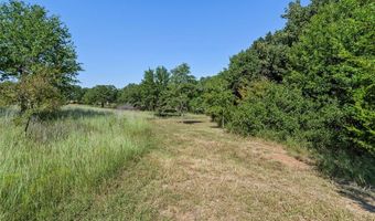 110 Pringle Ct, Alvord, TX 76225