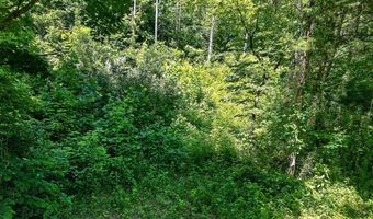 192 Puncheon Creek Ln, Allred, TN 38542