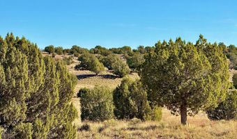 228 County Rd N9328, Concho, AZ 85924