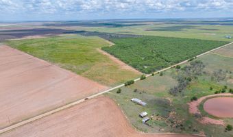 CR 260, Anson, TX 79501