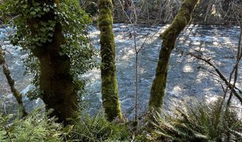 55450 MCKENZIE RIVER Dr, Blue River, OR 97413