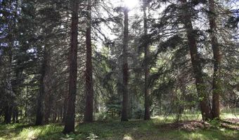 Vallecito Pl, Bayfield, CO 81122