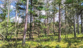 5 6 Acres 16th Ave Lot 3, Arkdale, WI 54613
