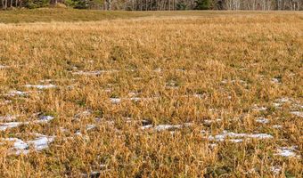 125 YELLOW ROSE Dr, Alta, WY 83414