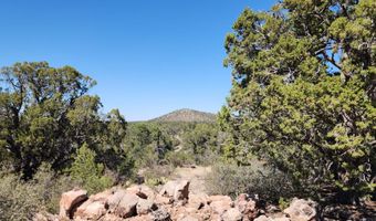 363 Big Vw, Ash Fork, AZ 86320