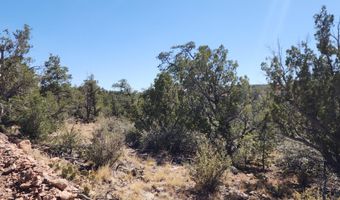 363 Big Vw, Ash Fork, AZ 86320