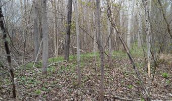 1089 Birch Rd, Alpena, MI 49707