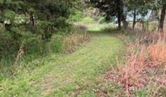 7011 County Road 429, Ava, MO 65608