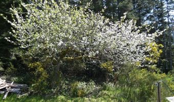 47611 Oregon Coast Hwy, Bandon, OR 97411