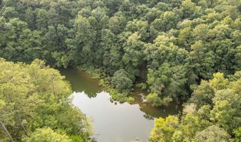 COUNTY ROAD 22, Arley, AL 35541