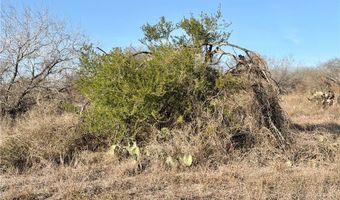 CR 119 lot 0, Alice, TX 78332