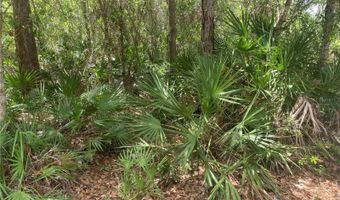 NW HWY 70, Arcadia, FL 34266