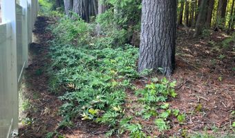 1170 Hanover Rd, Alpena, MI 49707