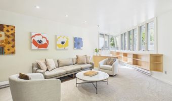 506 W Hallam St, Aspen, CO 81611