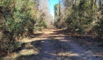 County Road 4110, Call, TX 75933