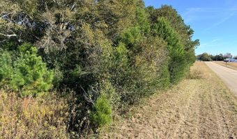 TBD US HWY 431, Abbeville, AL 36310