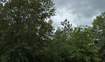 Old Pelham Road, Bainbridge, GA 39817