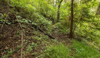 Lot 02 Cathedral DR, Aptos, CA 95003