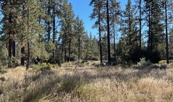 Lot 18 Pyramid Peak Road, Mountain Center, CA 92561