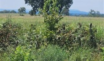 8468 Cambridge Rd, Altus, AR 72821