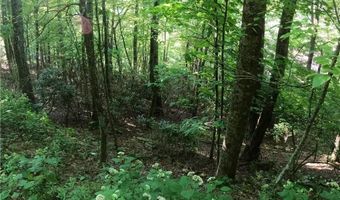 Tbd Forest Spring Lane, Boone, NC 28607